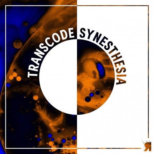 Transcode - Synesthesia [RSPKT198] AIFF